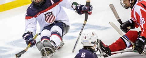 sled hockey players