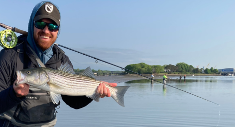 man with striped bass and fly rod