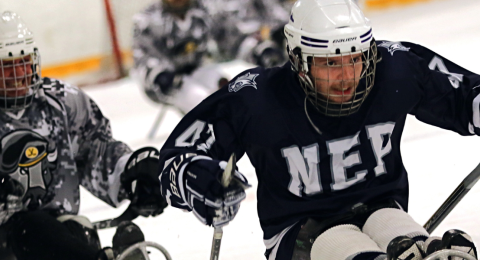 sled hockey players