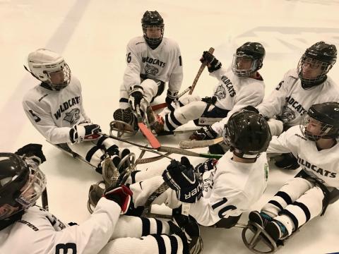 Sled hockey players