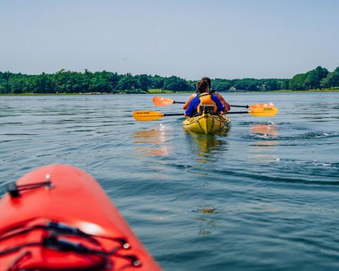 people kayaking on a lake