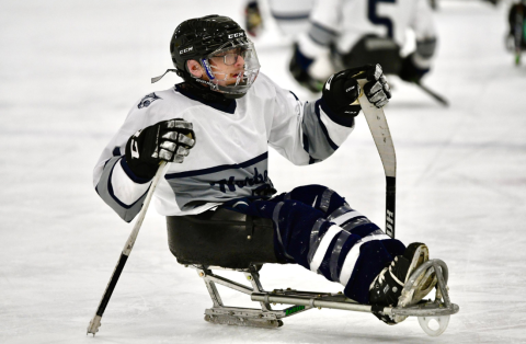 sled hockey player