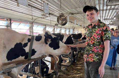 young guy petting cow